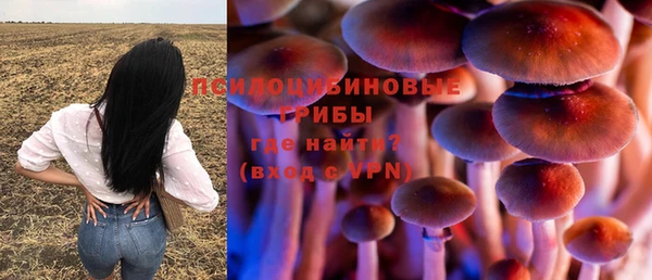 мет Абинск