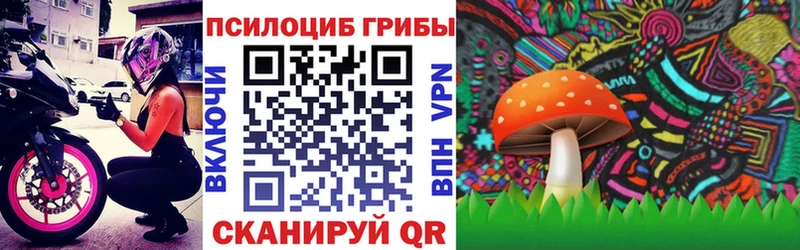 Галлюциногенные грибы MAGIC MUSHROOMS  Каргополь 